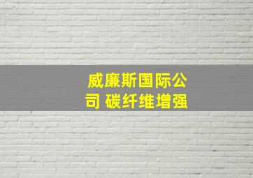 威廉斯国际公司 碳纤维增强